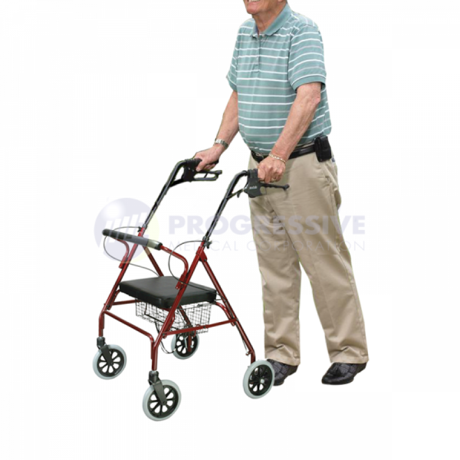 4 Wheels Rollator FS966LH1-600x600-900x900