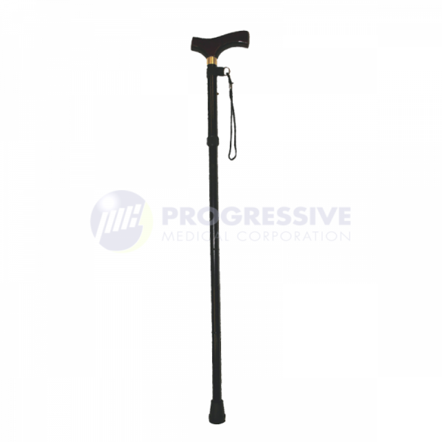 Foldable Walking Stick, Black 1-600x600-900x900